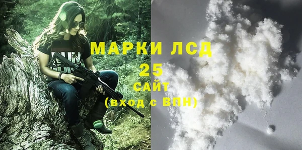 спайс Баксан