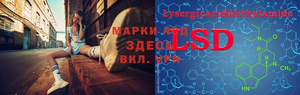 спайс Баксан